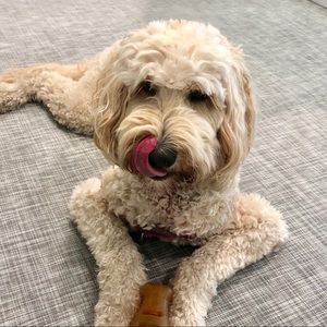 Meet your Posher, Kellie